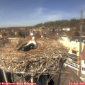 13_35-nest.jpg