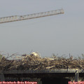 13_40-mast.jpg