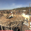 13_45-nest.jpg