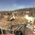 13_50-nest.jpg