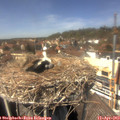13_55-nest.jpg