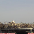 14_00-mast.jpg