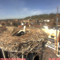 14_00-nest.jpg