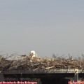 14_05-mast.jpg