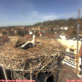 14_05-nest.jpg