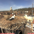 14_10-nest.jpg