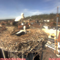14_15-nest.jpg
