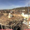 14_30-nest.jpg