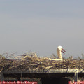 14_35-mast.jpg