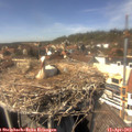 14_40-nest.jpg