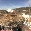 14_45-nest.jpg