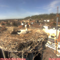 15_05-nest.jpg