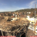 15_10-nest.jpg