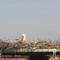 15_15-mast.jpg