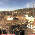 15_35-nest.jpg