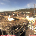 15_40-nest.jpg