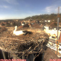 15_45-nest.jpg