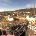 15_50-nest.jpg
