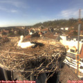 15_55-nest.jpg