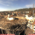 16_05-nest.jpg