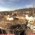 16_10-nest.jpg