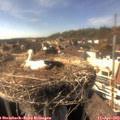 16_15-nest.jpg