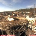 16_20-nest.jpg