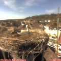 16_30-nest.jpg