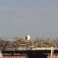 16_35-mast.jpg