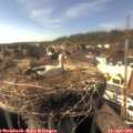 16_45-nest.jpg