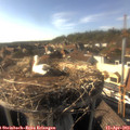 17_15-nest.jpg