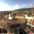 17_25-nest.jpg