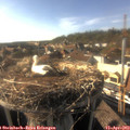 17_30-nest.jpg