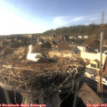 17_40-nest.jpg