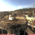 17_45-nest.jpg