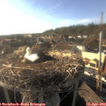 18_10-nest.jpg