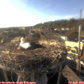 18_15-nest.jpg