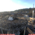 19_10-nest.jpg