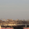 19_20-mast.jpg