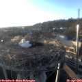 19_20-nest.jpg