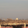 19_30-mast.jpg