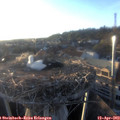 19_30-nest.jpg