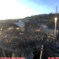 19_35-nest.jpg
