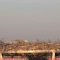 19_40-mast.jpg