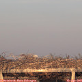 19_45-mast.jpg