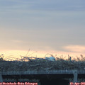 06_45-mast.jpg