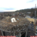 06_45-nest.jpg