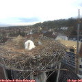 06_50-nest.jpg
