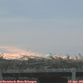 06_55-mast.jpg