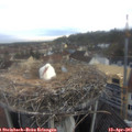 06_55-nest.jpg